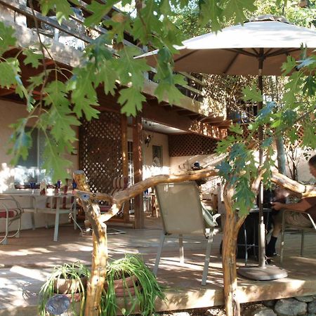 Wikiup Hummingbird Hotel Julian Exterior photo